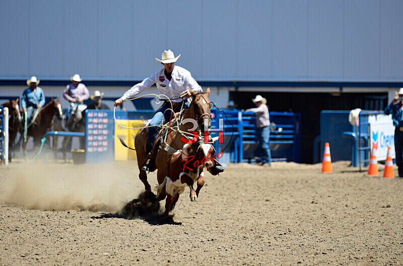 3HRodeo8-11-25_PRCASteer_03916_ - 2025 Colorado Stand Alone Steer Roping-Greeley