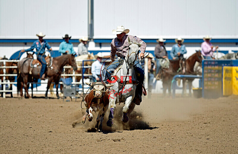 3HRodeo8-11-25_PRCASteer_07450_ - 2025 Colorado Stand Alone Steer Roping-Greeley