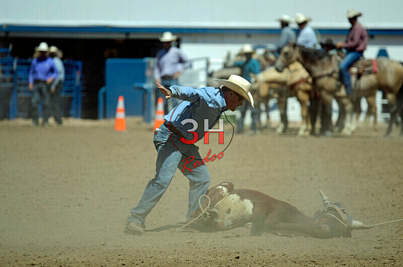 3HRodeo8-11-25_PRCASteer_06180_ - 2025 Colorado Stand Alone Steer Roping-Greeley