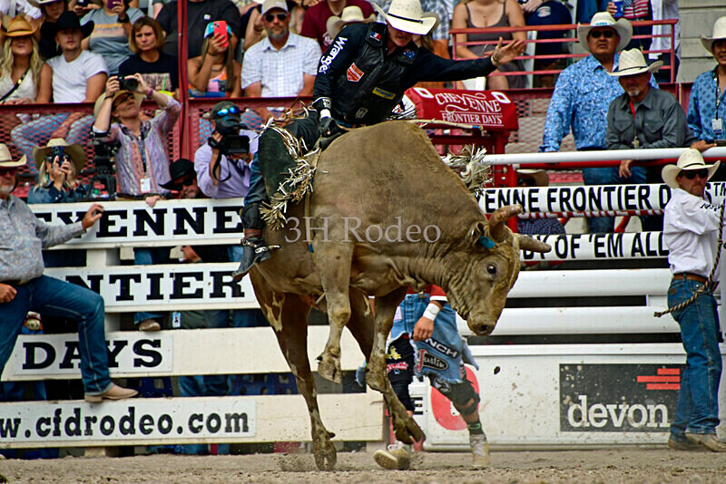 KyHamilton_0192 - CFD Rodeo Performance - July 29th