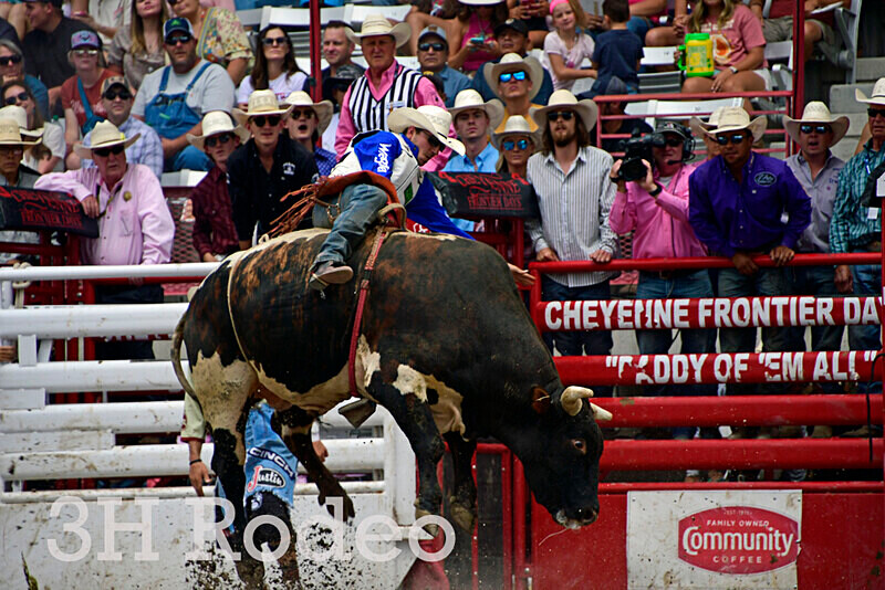 _DSC4224 - CFD Rodeo Performance - July 28th