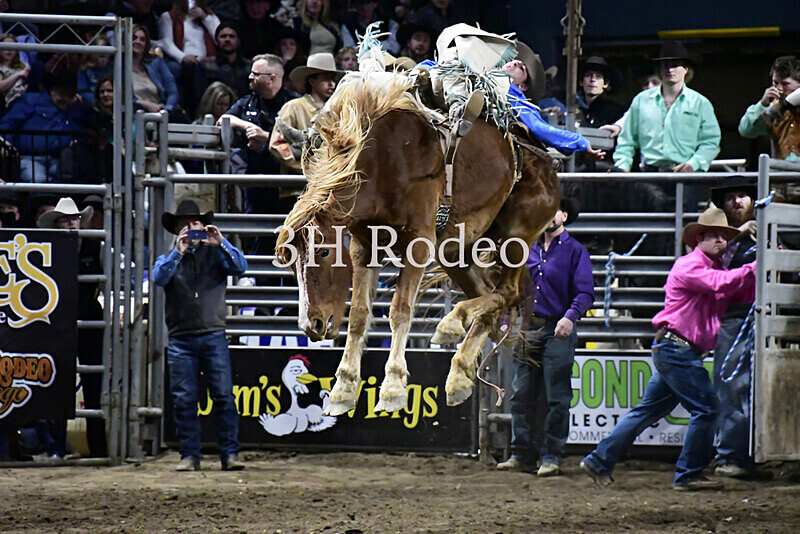 Tucker Curracato_DSC2285 - Extreme Rodeo Challenge