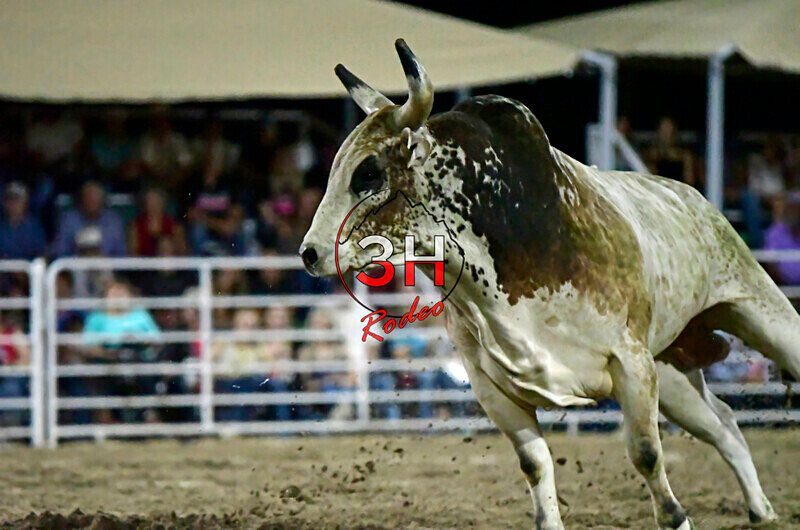 3HRodeo8-5-24_CFD_3HR-YUMA- 6147_ - AUG 5th Rodeo Performance