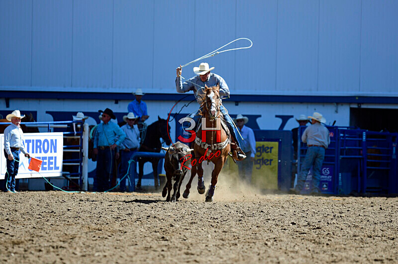 3HRodeo8-11-25_PRCASteer_00679_ - 2025 Colorado Stand Alone Steer Roping-Greeley