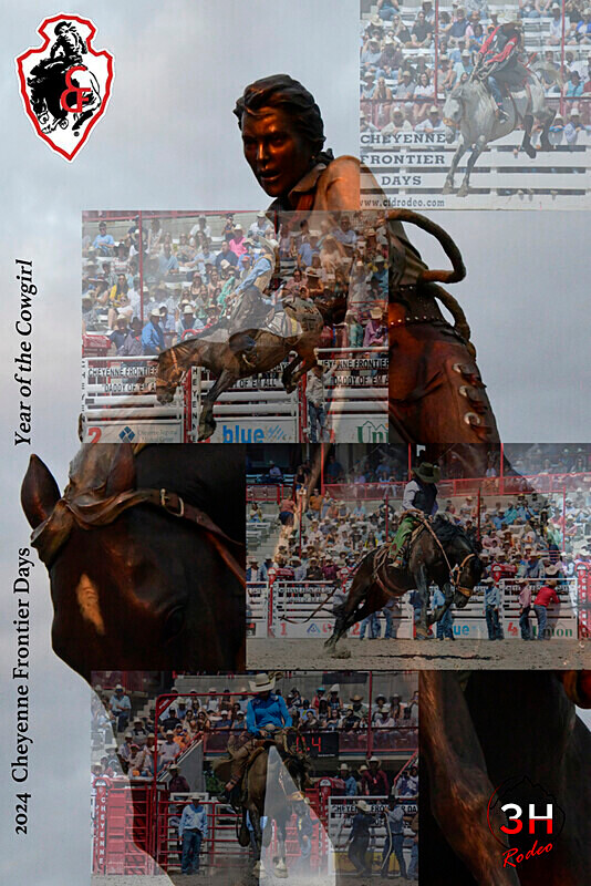 Year of the Cowgirl Poster3_3HR16871 - Rodeo Images as Artwork Pieces