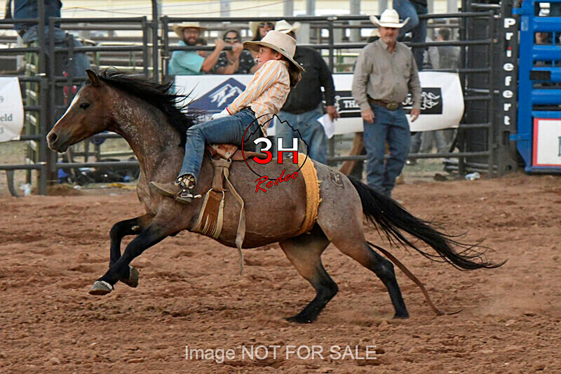 3HRodeo7-11-24_LJD_3HR1850_LJD - Mr. T Xtreme Bull Riding