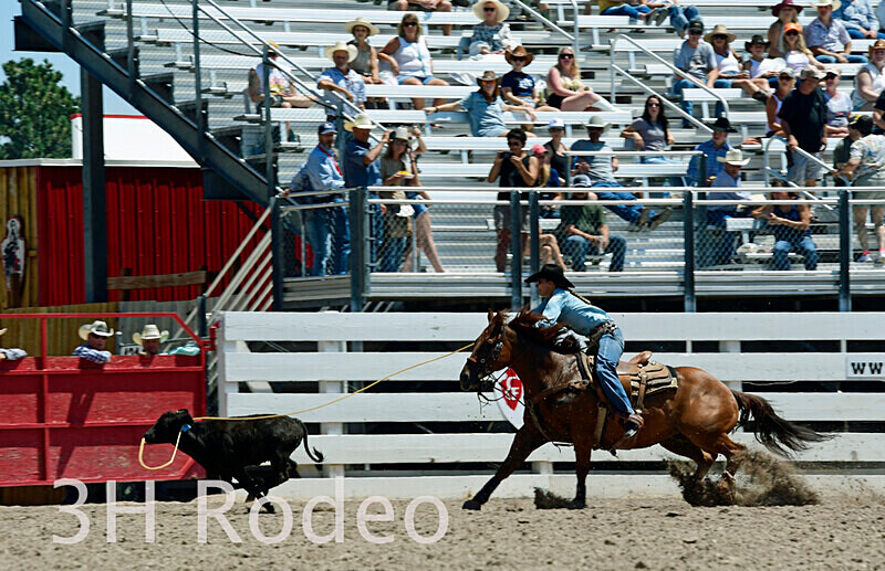 _DSC6343 - CFD Rodeo Performance - July 22nd