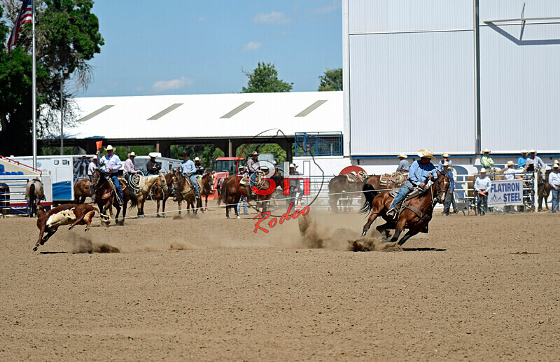 3HRodeo8-11-25_PRCASteer_06164_ - 2025 Colorado Stand Alone Steer Roping-Greeley