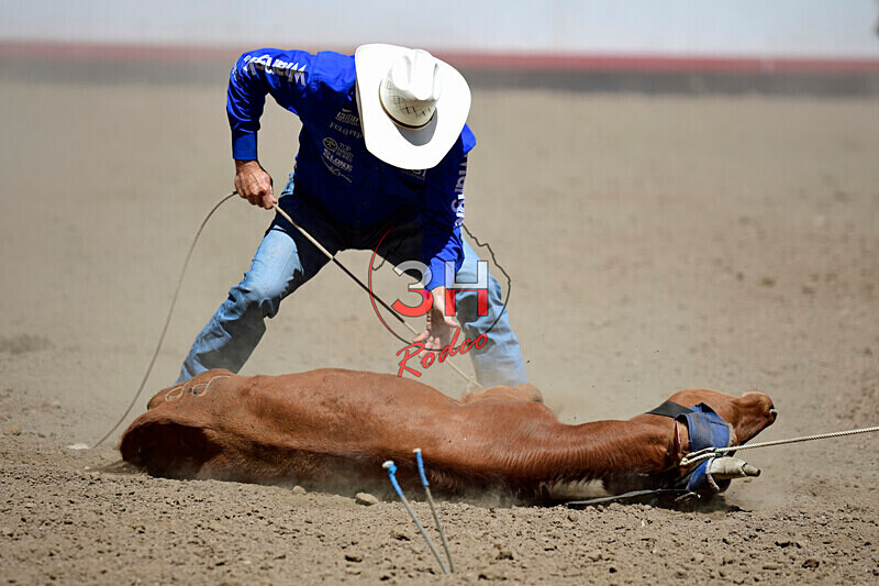 3HRodeo8-11-25_PRCASteer_05199_ - 2025 Colorado Stand Alone Steer Roping-Greeley