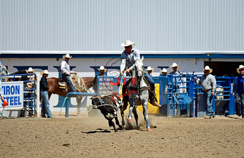 3HRodeo8-11-25_PRCASteer_05404_ - 2025 Colorado Stand Alone Steer Roping-Greeley