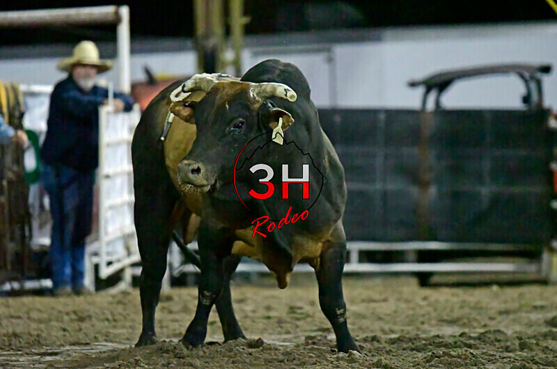 3HRodeo8-5-24_CFD_3HR-YUMA- 6083_ - AUG 5th Rodeo Performance