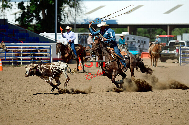 3HRodeo8-11-25_PRCASteer_07629_ - 2025 Colorado Stand Alone Steer Roping-Greeley