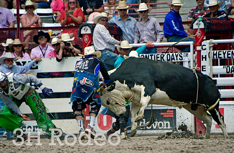 _DSC4164 - CFD Rodeo Performance - July 28th