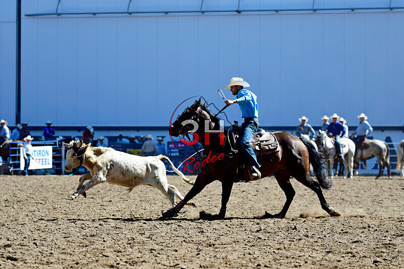 3HRodeo8-11-25_PRCASteer_00792_ - 2025 Colorado Stand Alone Steer Roping-Greeley