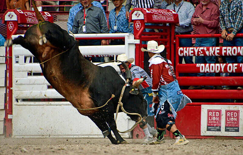 _DSC0059 - CFD Rodeo Performance - July 29th
