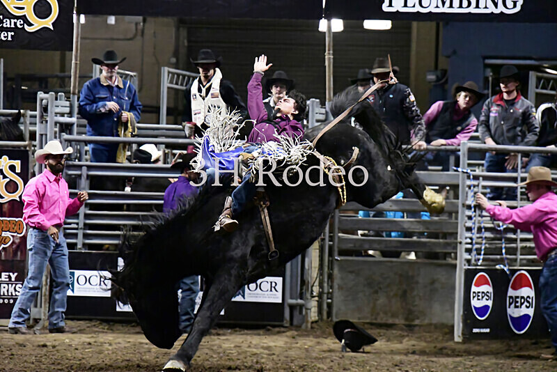 Reigns Provost_DSC2066 - Extreme Rodeo Challenge