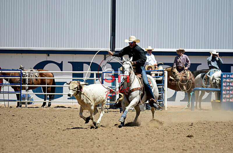 3HRodeo8-11-25_PRCASteer_04608_ - 2025 Colorado Stand Alone Steer Roping-Greeley