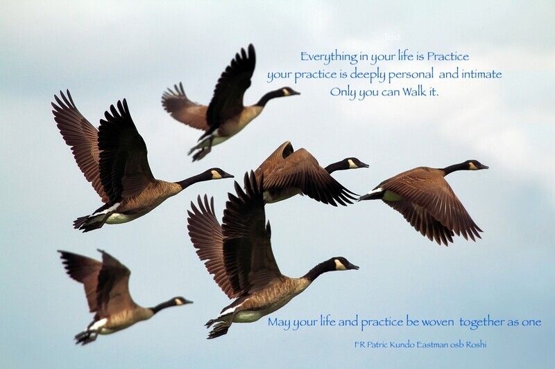 geese-  verse - Canterbury Zen Group Portfolio 2
