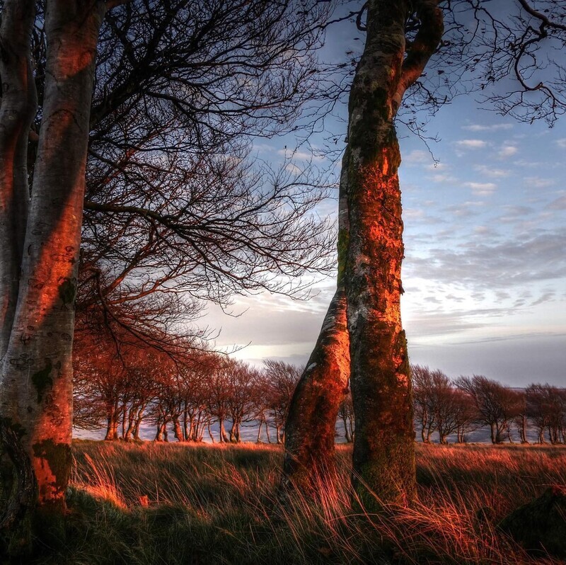 Beautiful picture of Exmoor - Around porlock