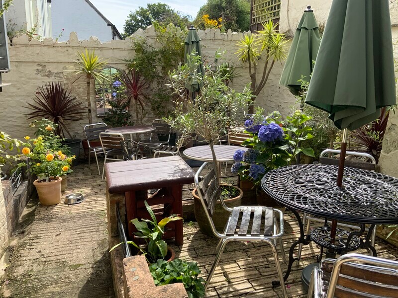 Lovely sunny patio garden - Tearoom