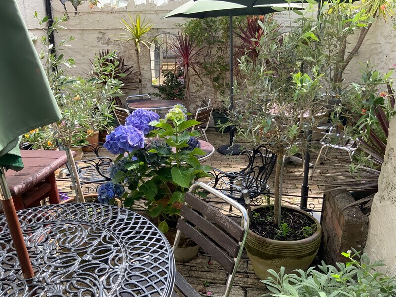 Patio garden - Tearoom