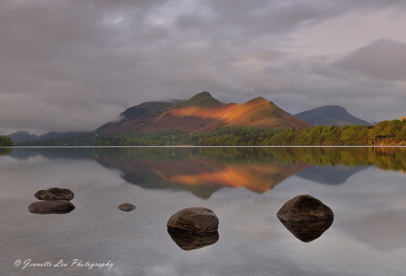 Whispers Of Spring - The Lake District