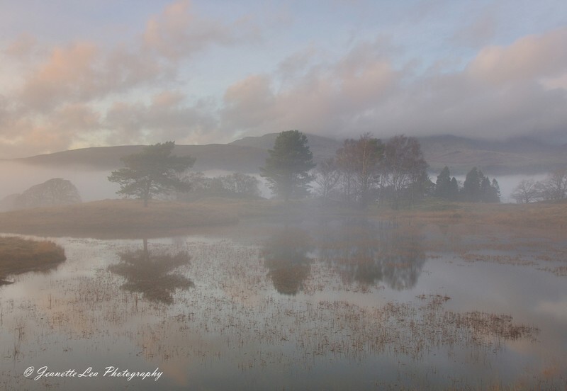 In The Presence Of Light - The Lake District