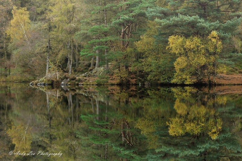 Aspects Of Autumn - The Lake District