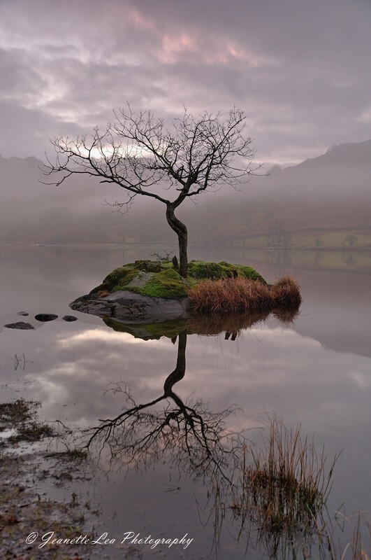 Stand Alone - The Lake District