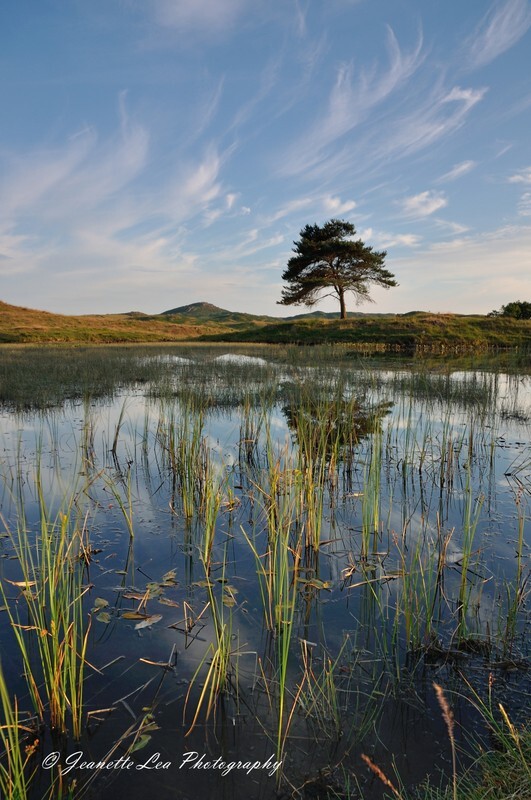 Midsummer Evening - The Lake District