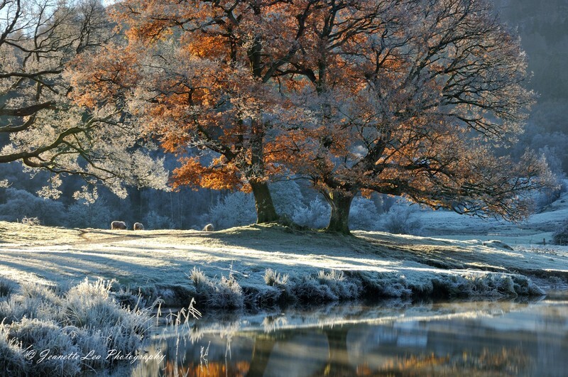 When Autumn And Winter Unite - The Lake District