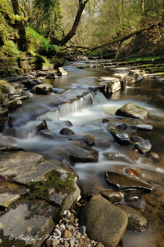 The Colour Of Spring - Lancashire