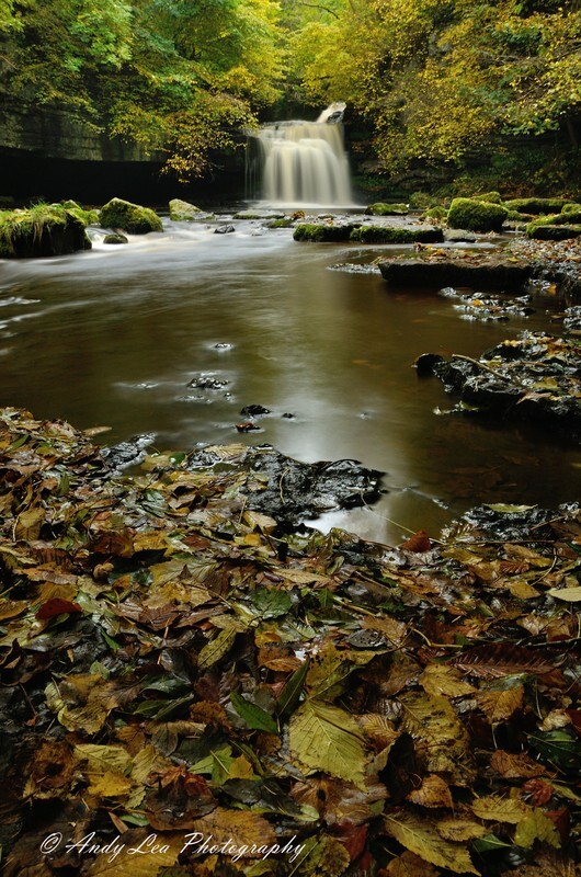Fallen Memories - Yorkshire