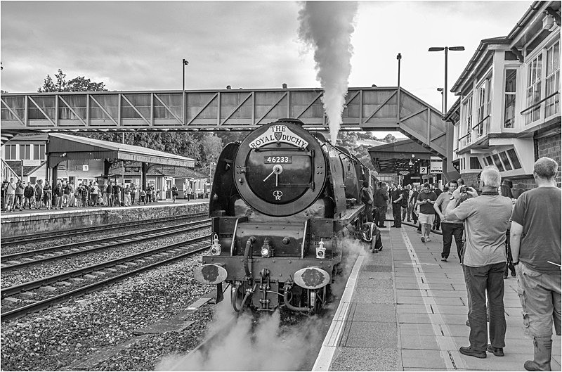 46233 Totnes 07 08 16 - Transport People