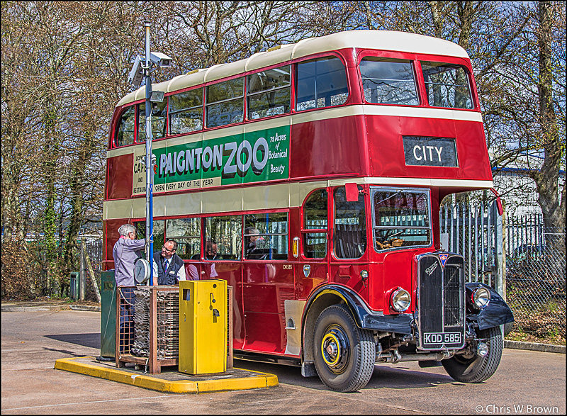 Heathfield Grey Cars - Road transport