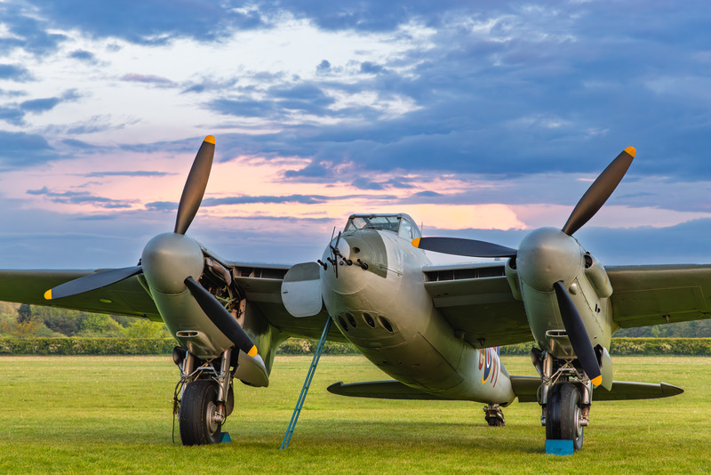 _MG_9714 - Mosquito