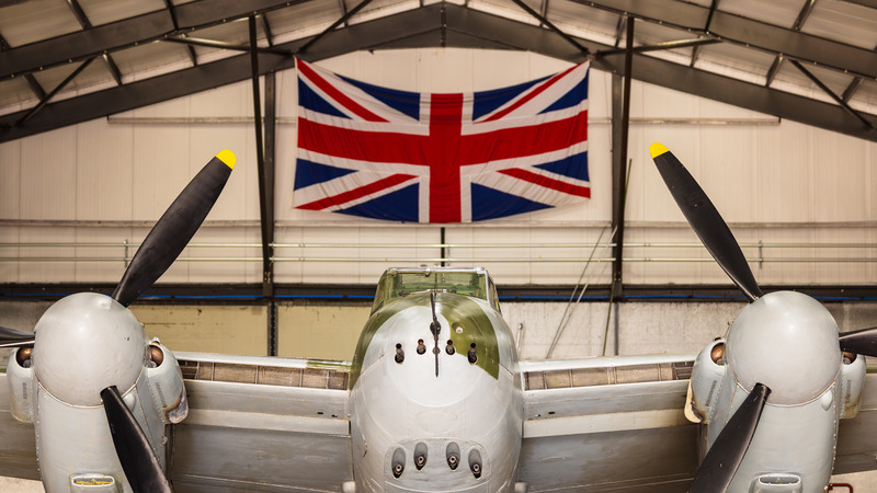 _MG_2582 - Mosquito