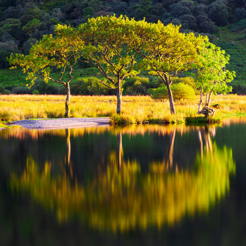 _MG_4122 - The Lake District