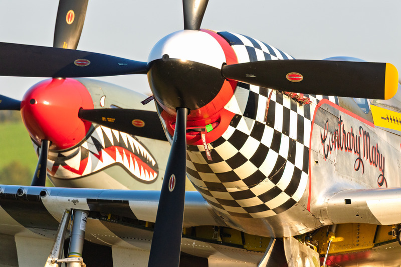 _MG_6384 - Mustang