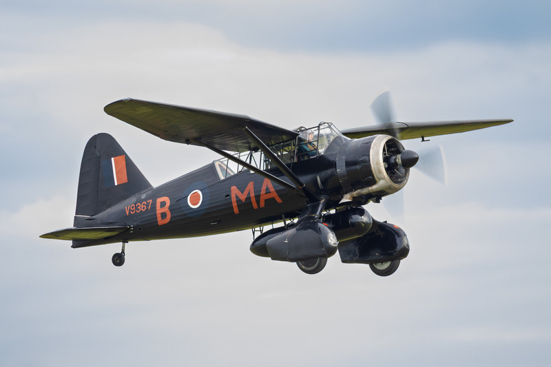 _MG_6928 - Lysander