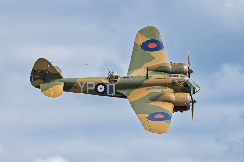 _MG_0493 - Blenheim