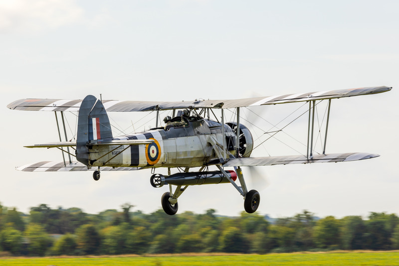 _MG_6443 - Swordfish