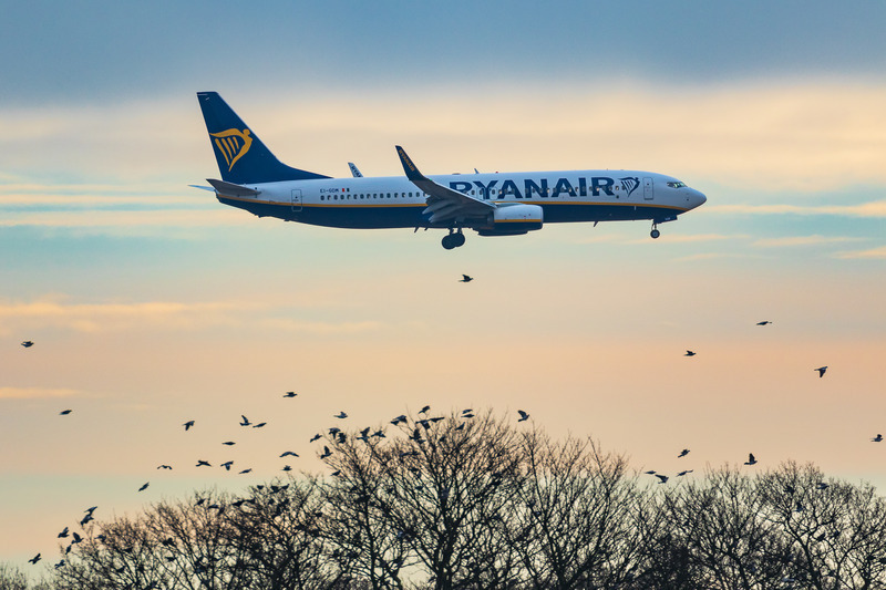 _MG_7188 - Ryanair