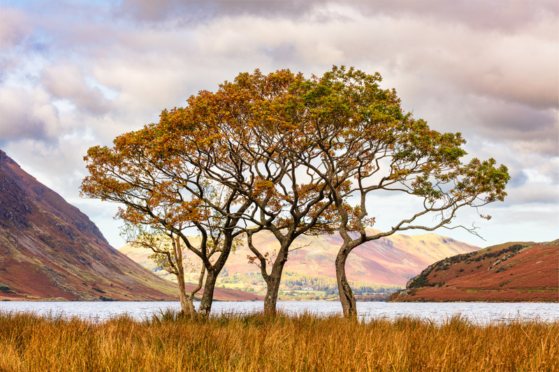 _MG_0293 - The Lake District