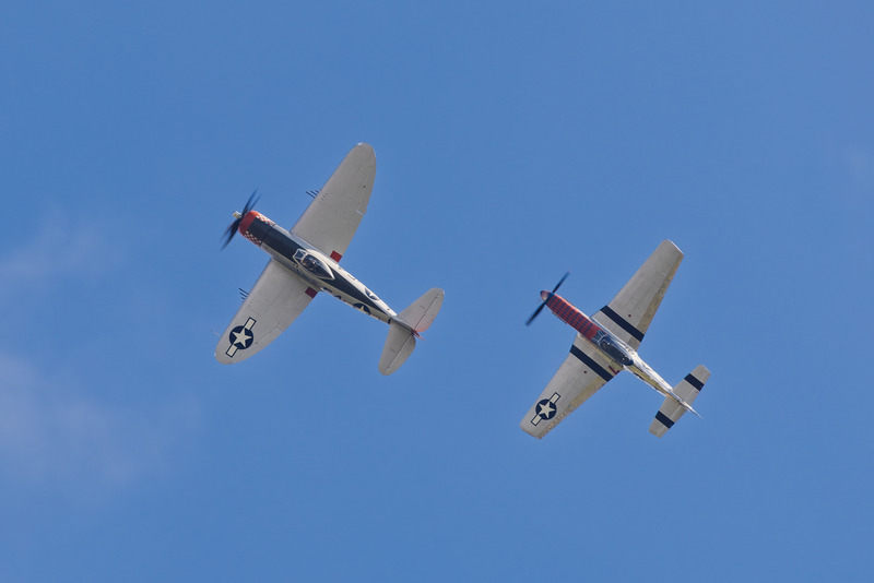 _MG_2379 - Mustang