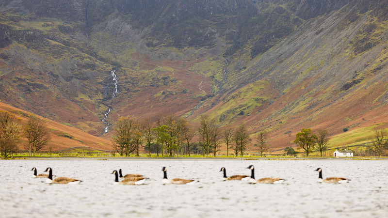 _MG_8779 - The Lake District