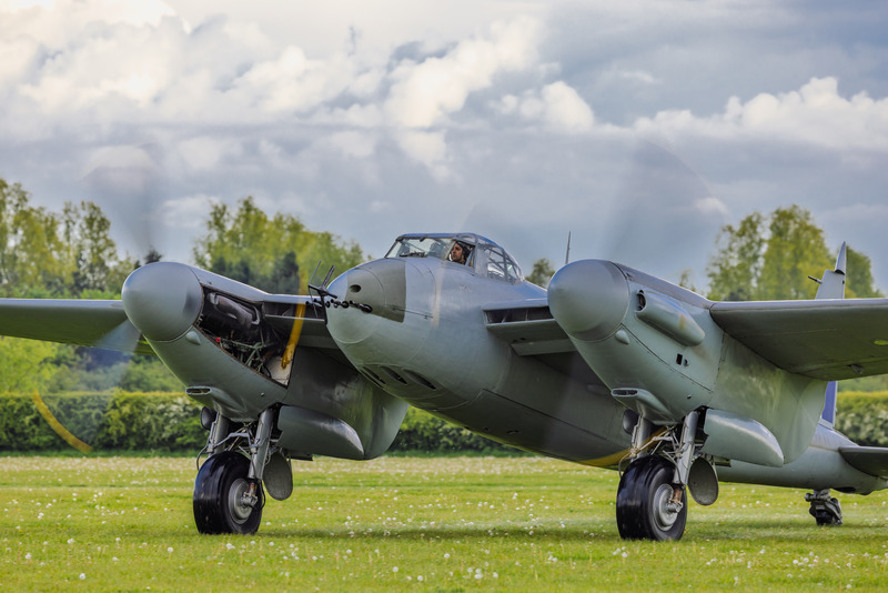 _MG_9159 - Mosquito