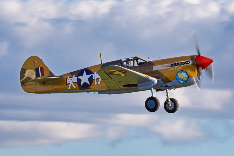 _MG_1291 - Warhawk