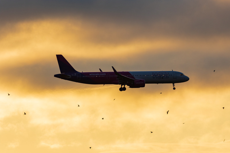 _MG_1489 - Wizz Air