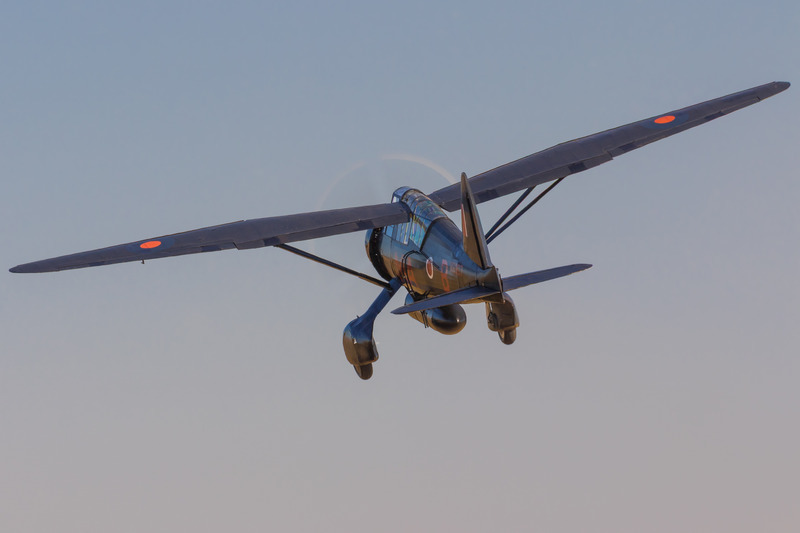 _MG_3804 - Lysander